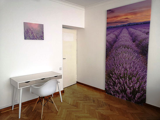 Gabinety Strefy Rozwoju